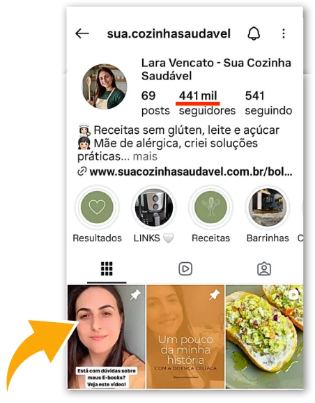 Perfil Instagram @sua.cozinhasaudavel com 344 mil seguidores